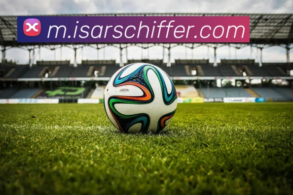 世界杯2026登录入口平台生态图